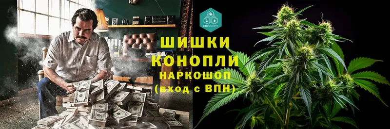 где найти наркотики  Ленинск-Кузнецкий  Каннабис White Widow 